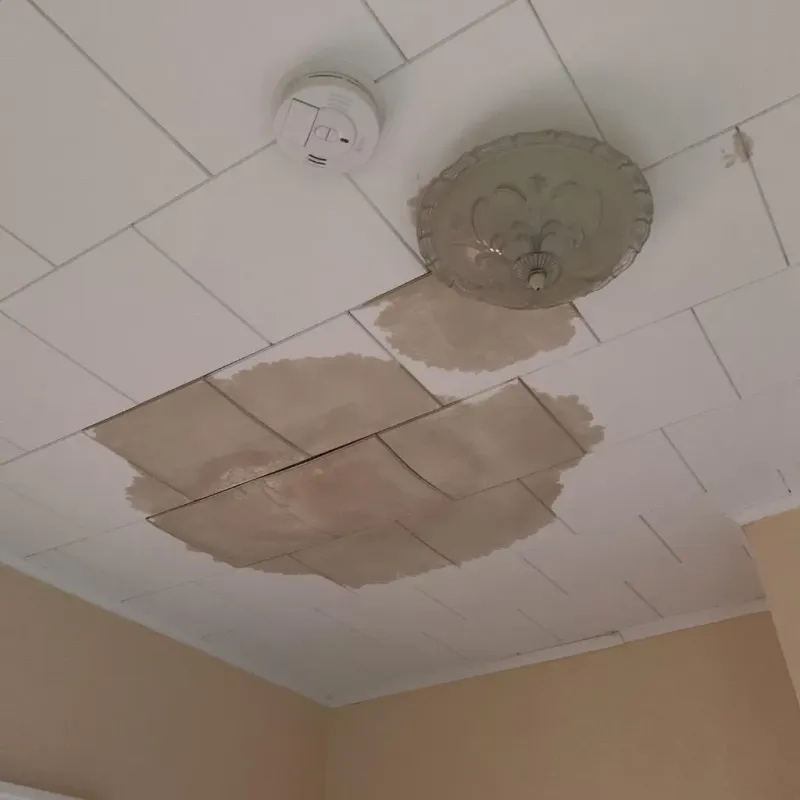 Ceiling Water Damage Repair in New Paltz, NY