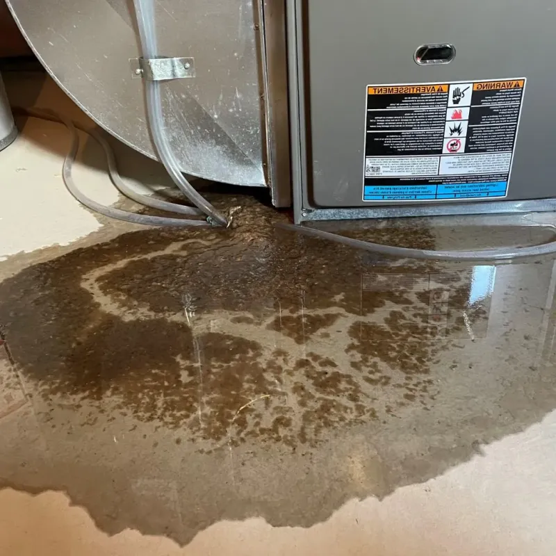 Pipe Burst and Leak Restoration in New Paltz, NY